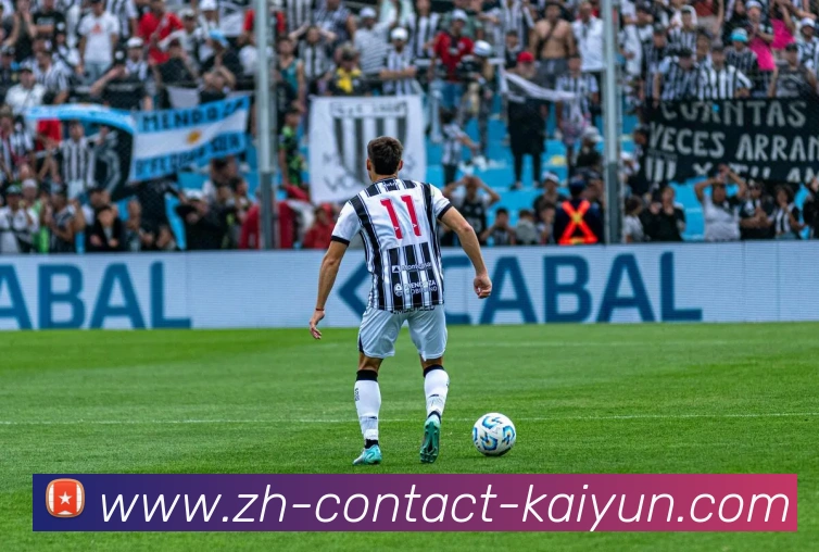 App Interface Preview